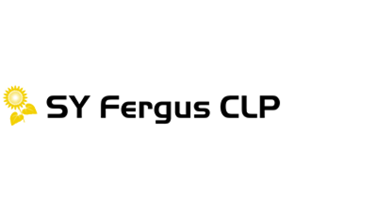 SY Fergus napraforgó hibrid vetőmag
