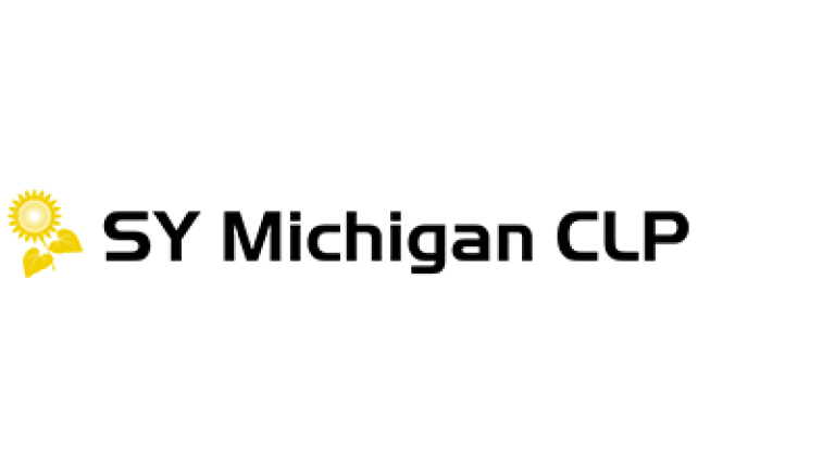 SY Michigan napraforgó hibrid vetőmag