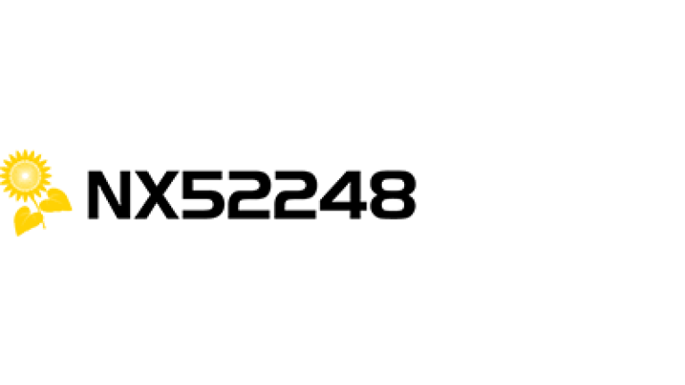 NX52248 napraforgó hibrid vetőmag